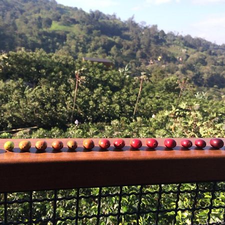 Hotel La Palma Y El Tucan - Cafe Y Naturaleza Zipacon ภายนอก รูปภาพ