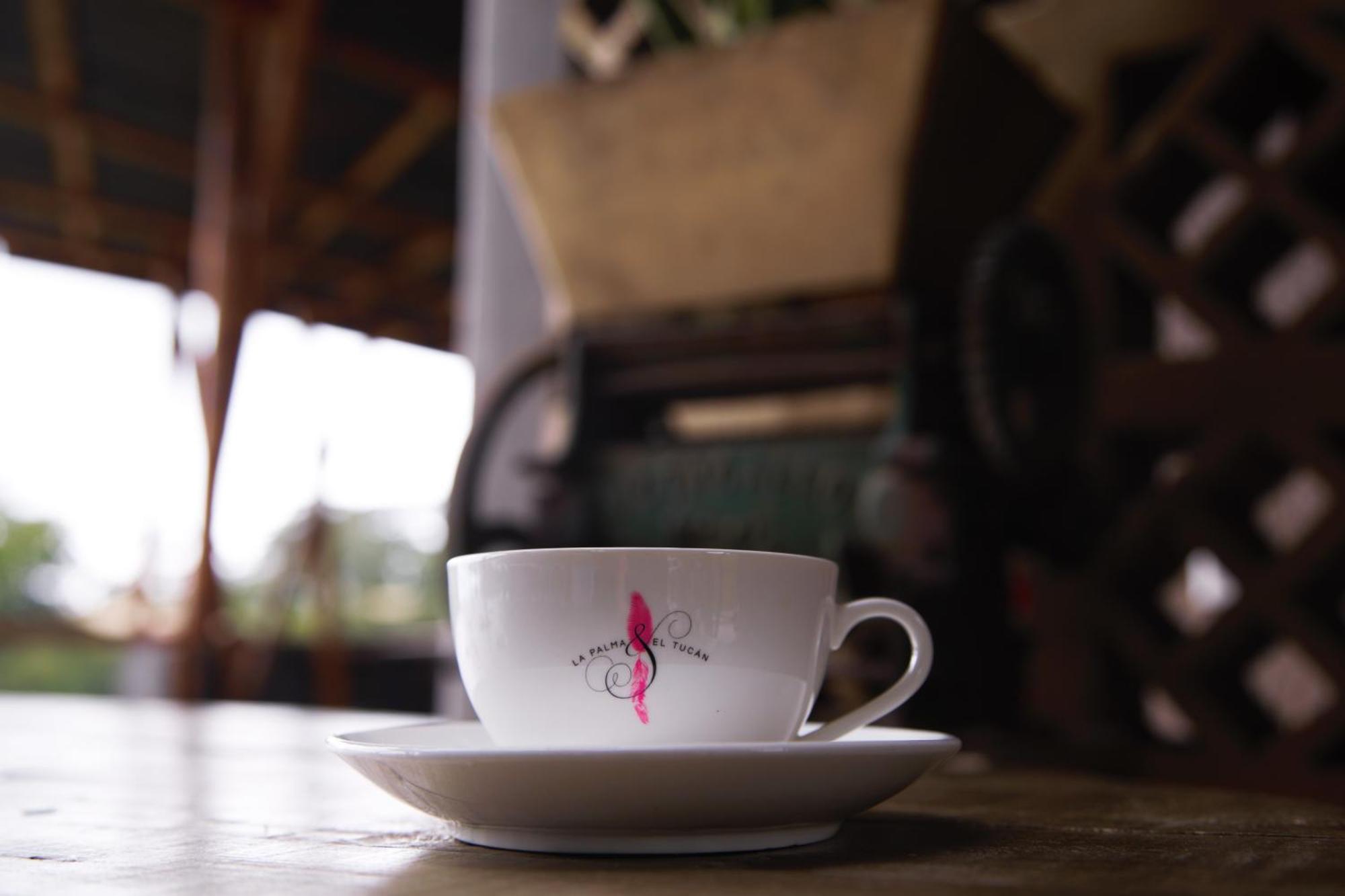 Hotel La Palma Y El Tucan - Cafe Y Naturaleza Zipacon ภายนอก รูปภาพ