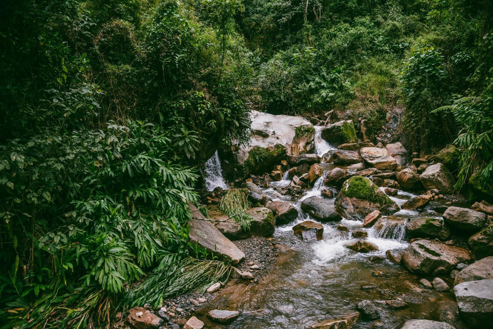 Hotel La Palma Y El Tucan - Cafe Y Naturaleza Zipacon ภายนอก รูปภาพ
