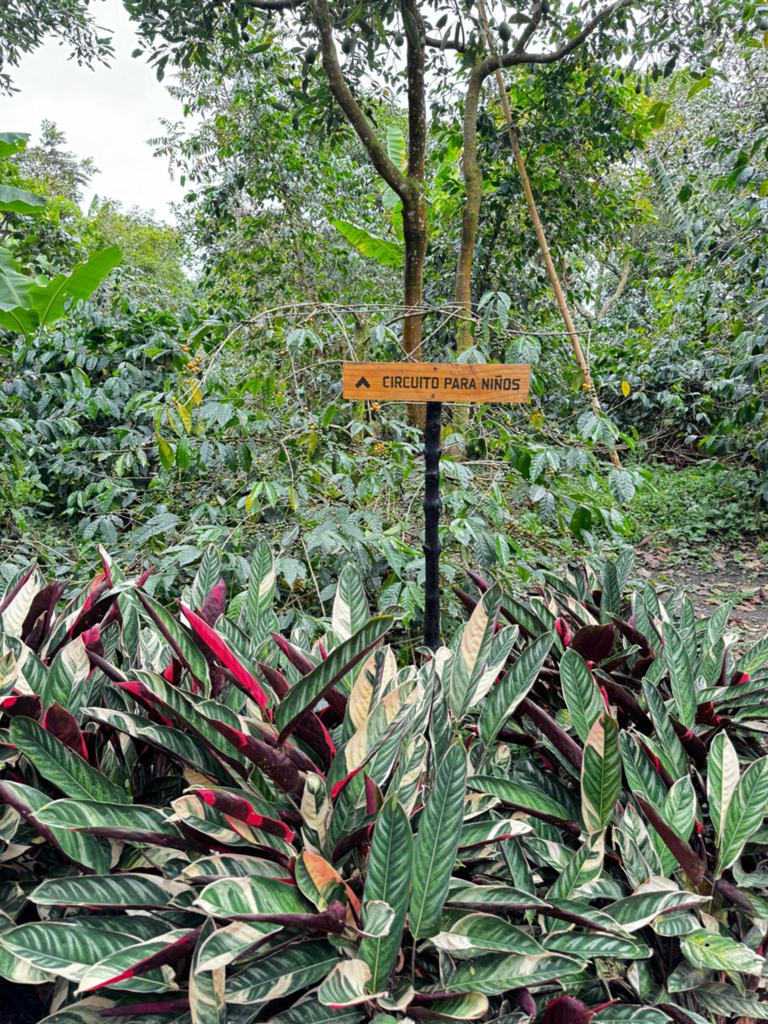 Hotel La Palma Y El Tucan - Cafe Y Naturaleza Zipacon ภายนอก รูปภาพ