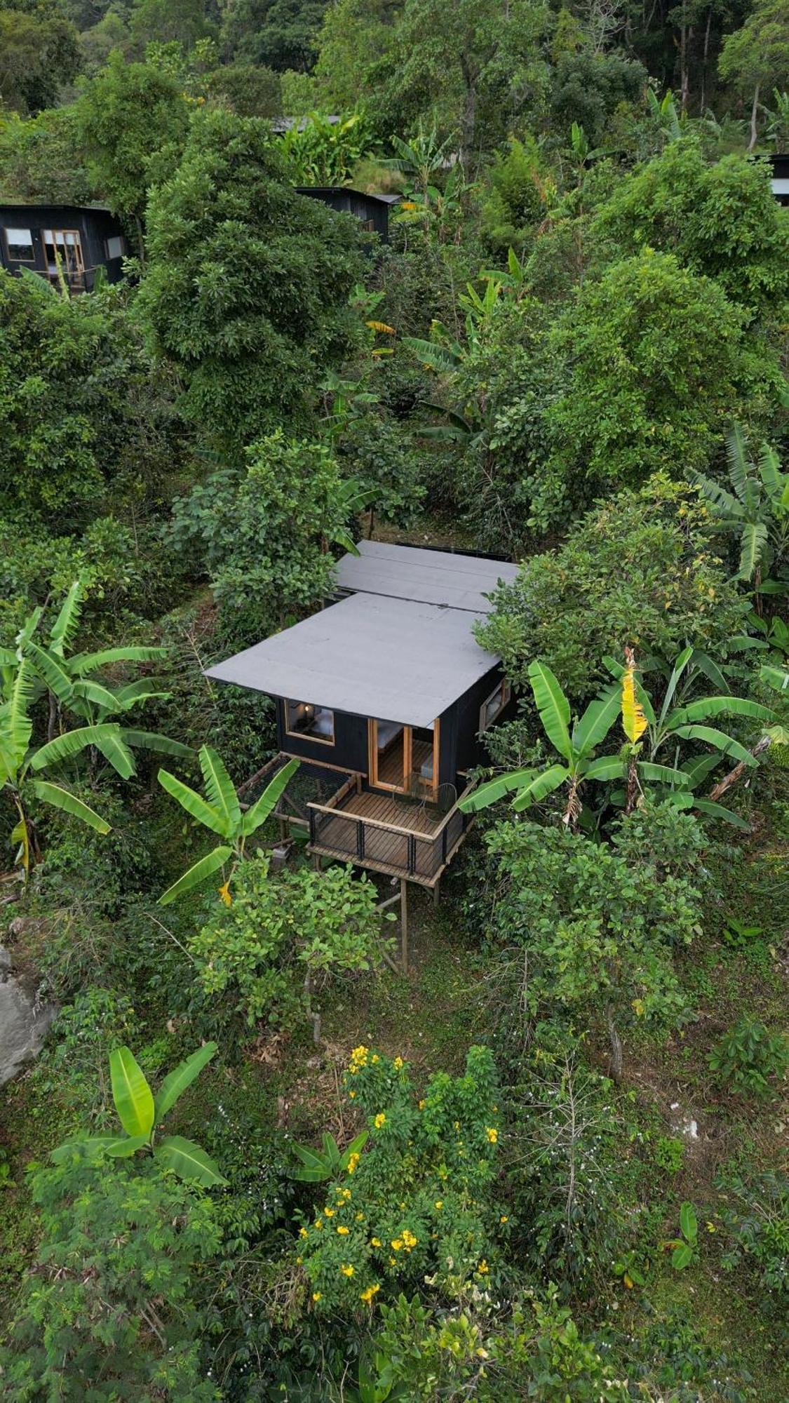 Hotel La Palma Y El Tucan - Cafe Y Naturaleza Zipacon ภายนอก รูปภาพ