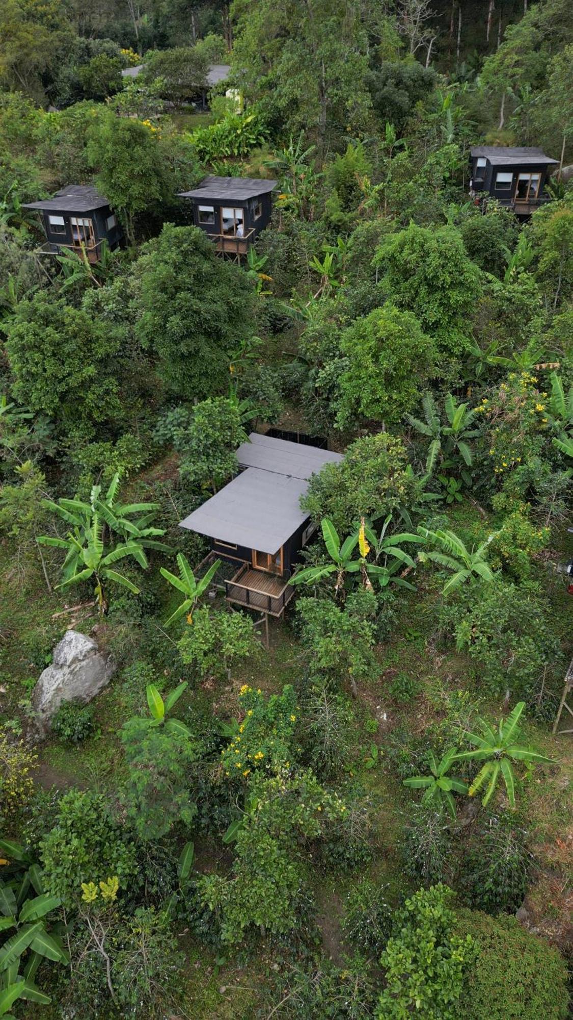 Hotel La Palma Y El Tucan - Cafe Y Naturaleza Zipacon ภายนอก รูปภาพ