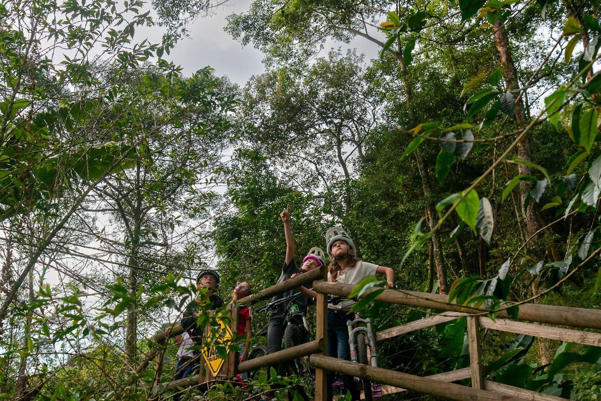 Hotel La Palma Y El Tucan - Cafe Y Naturaleza Zipacon ภายนอก รูปภาพ