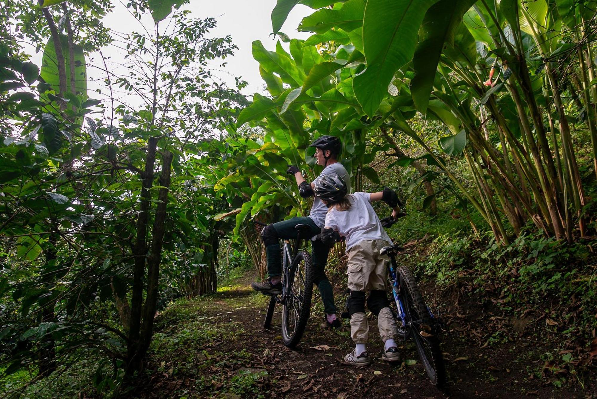 Hotel La Palma Y El Tucan - Cafe Y Naturaleza Zipacon ภายนอก รูปภาพ